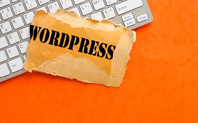 Do Professionals Use WordPress?