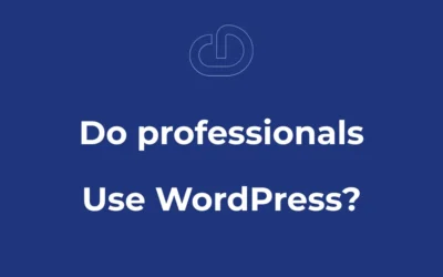 هل يستخدم المحترفون ووردبريس؟